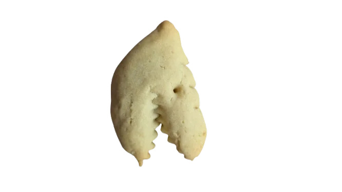 Biscuit piranha