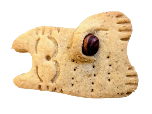 Biscuit chat géant